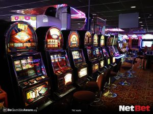 painatalpg - App Bet Login